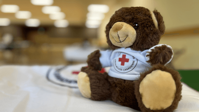 A Red Cross teddy bear is set up on a cot at a shelter set-up exercise.