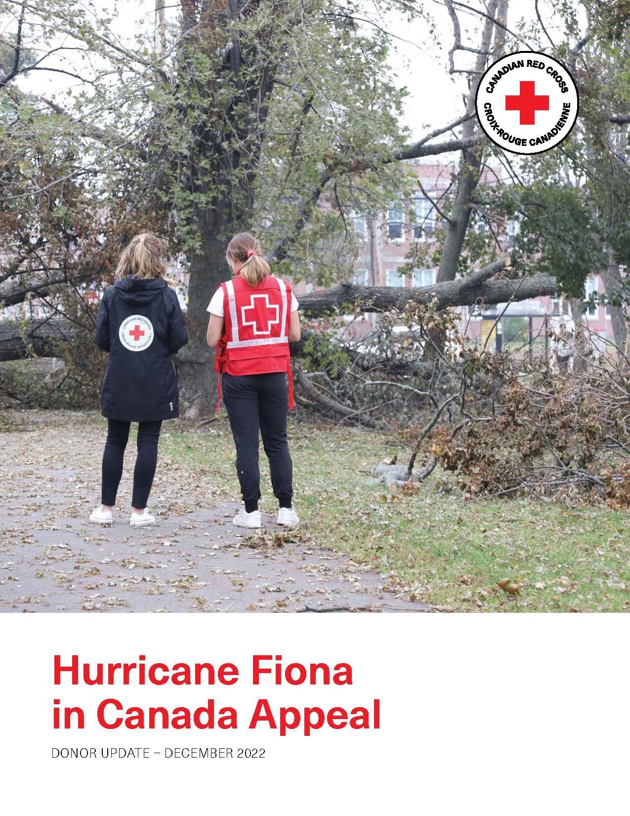 Two Red Cross personnel stand in front a tree that has fallen down.